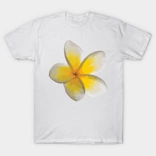 Frangipani —Yellow T-Shirt